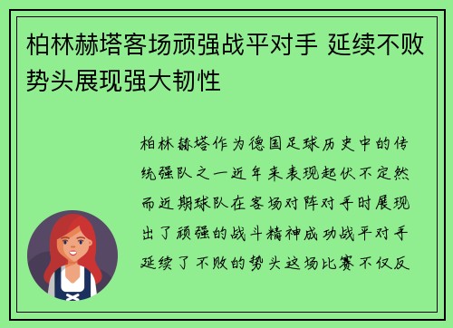 柏林赫塔客场顽强战平对手 延续不败势头展现强大韧性